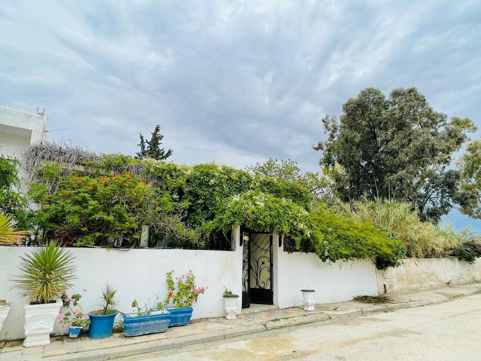 Casa Zitouna - Guest House - Kef, Tunisia Sicca Veneria Exterior foto